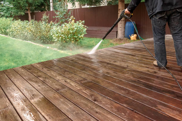 Best Spring Cleaning  in Coal Valley, IL