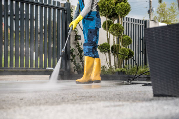 Best Patio and Deck Pressure Washing  in Coal Valley, IL